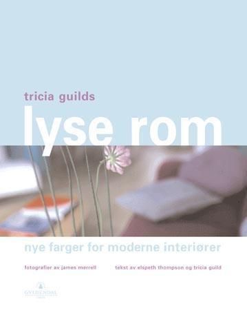 Lyse rom : nye farger for moderne interiører