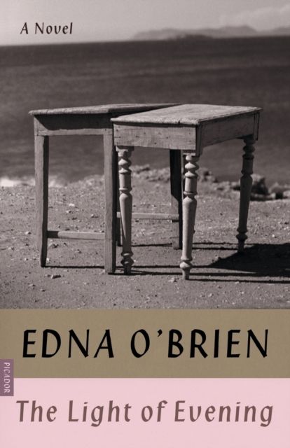 The Light of Evening : A Novel