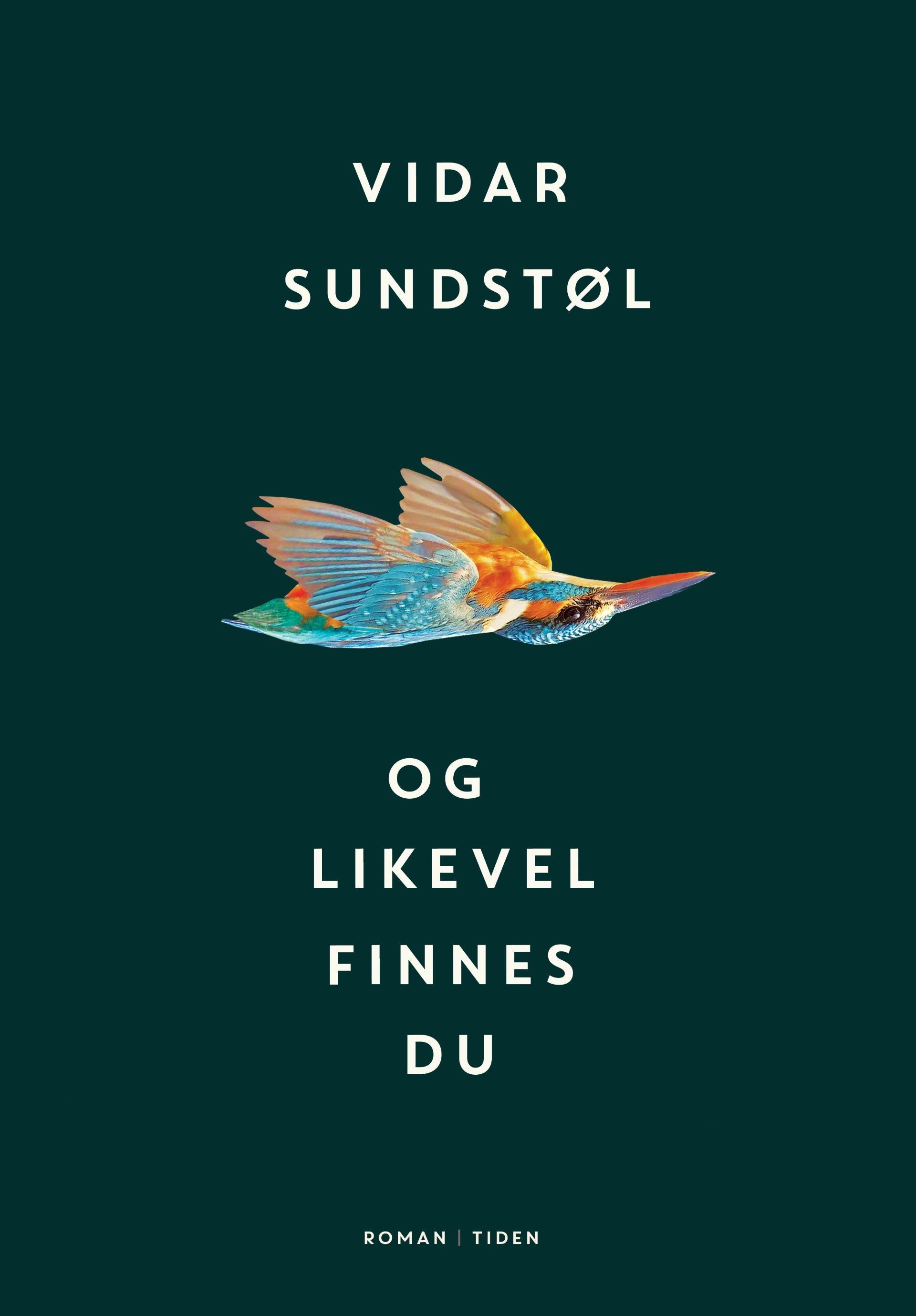 Omslagsbilde