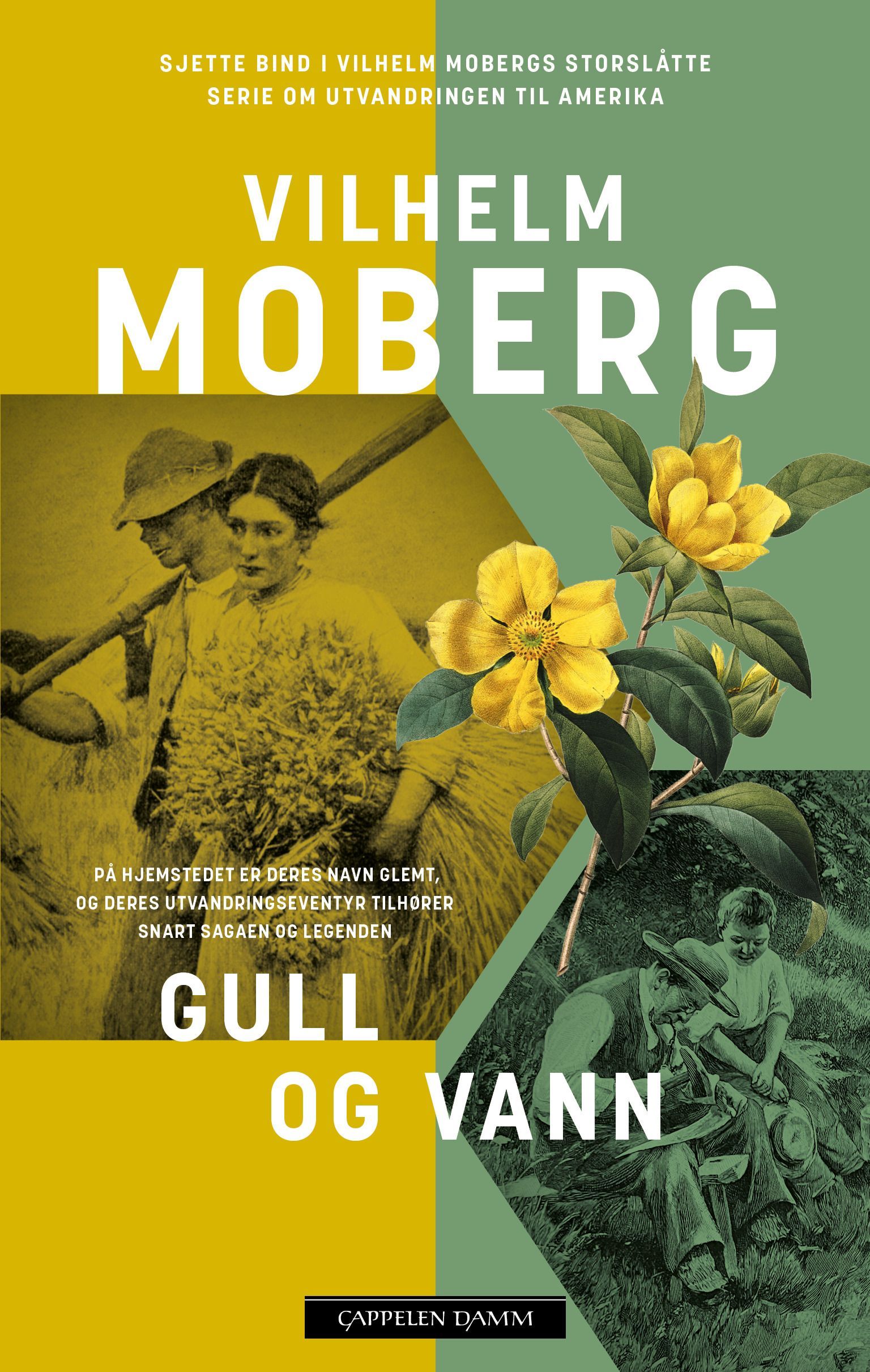 Gull og vann : nybyggerne 2