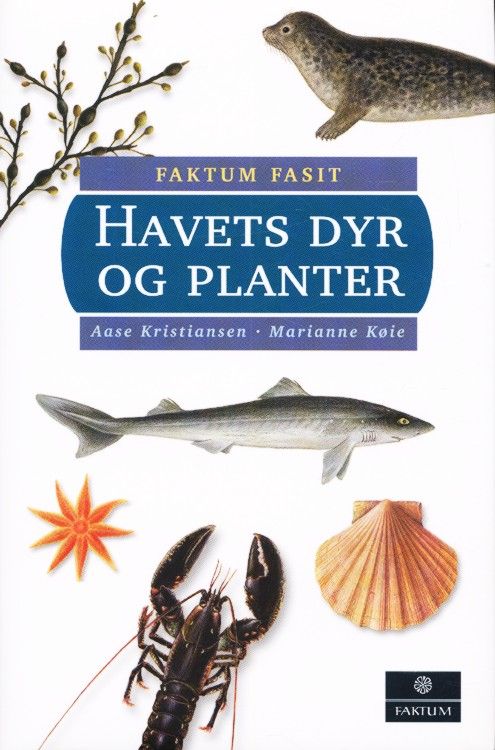 Havets dyr og planter
