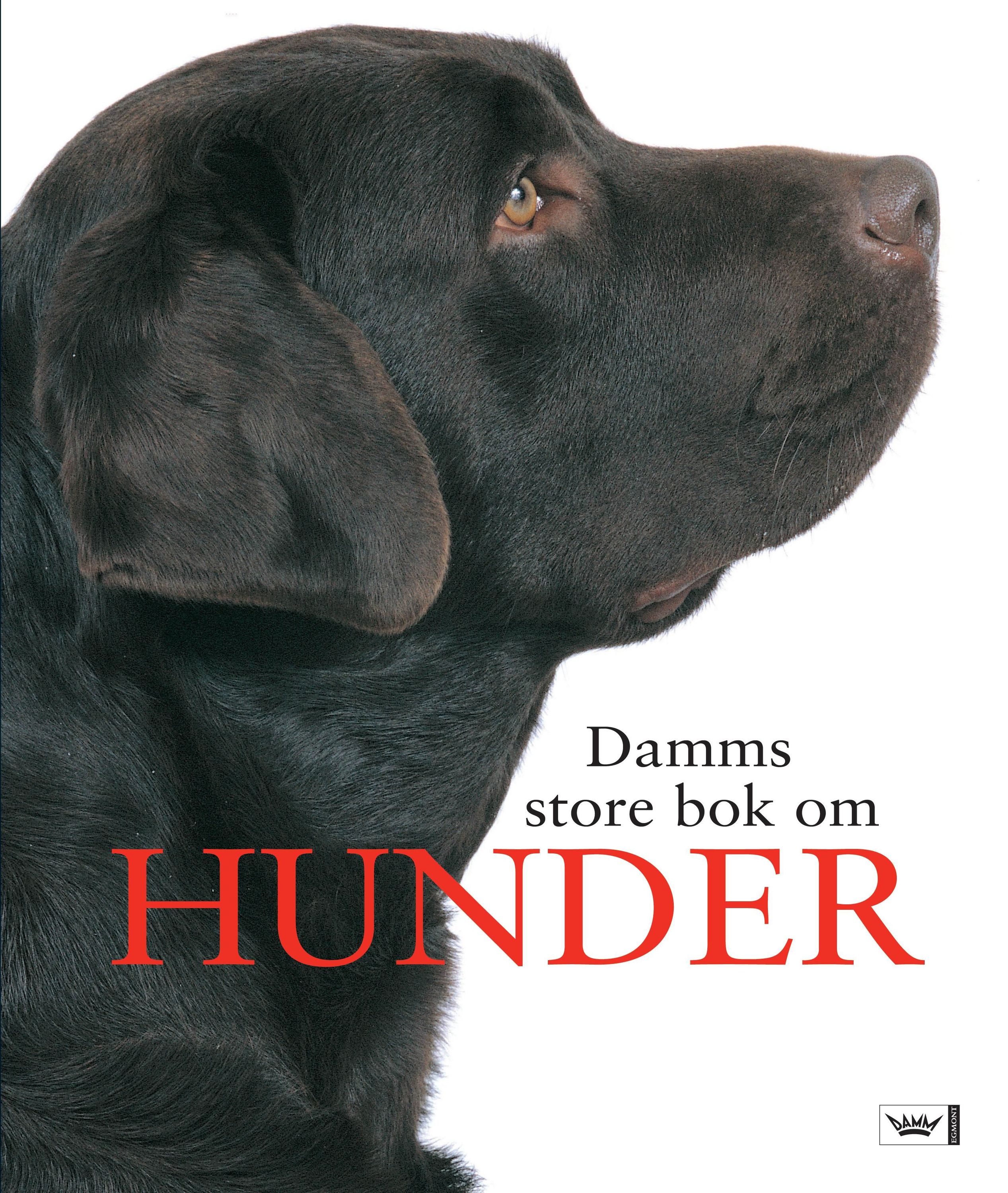 Damms store bok om hunder