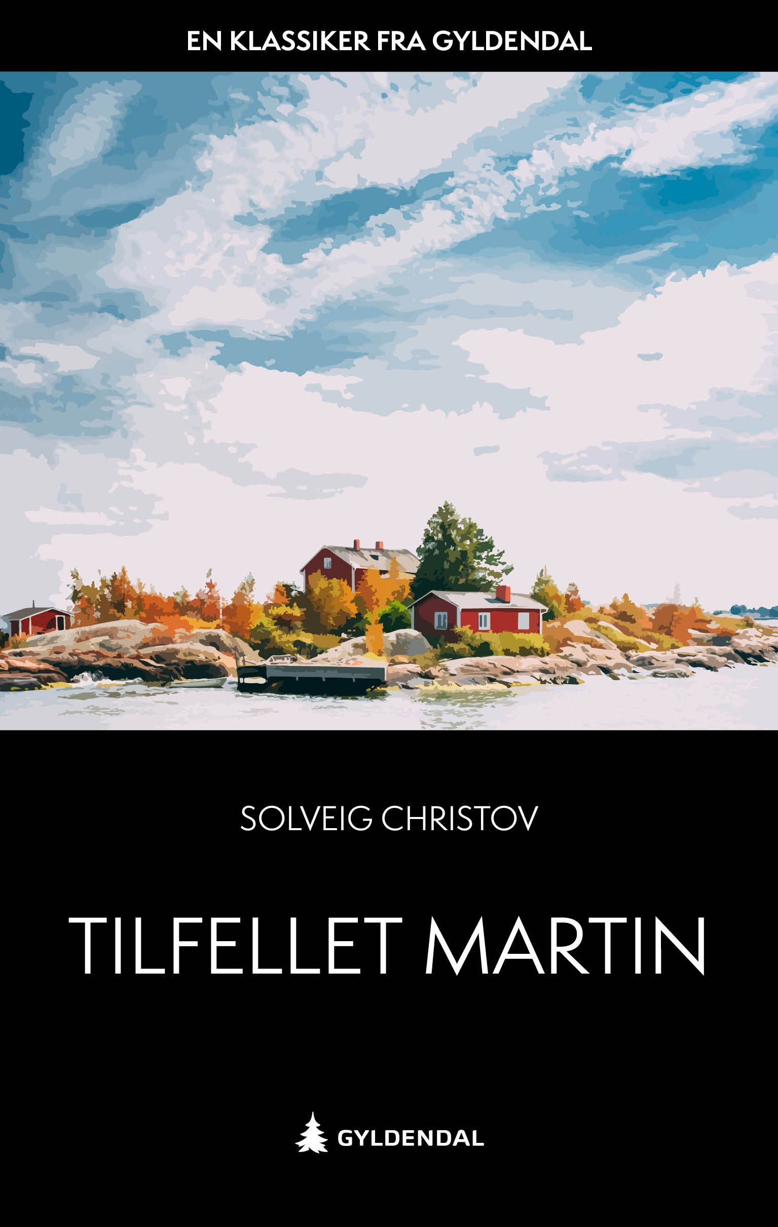 Tilfellet Martin : roman