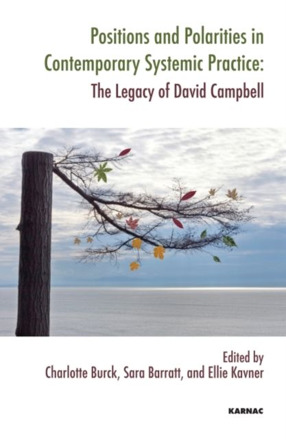 Positions and Polarities in Contemporary Systemic Practice : The Legacy of David Campbell