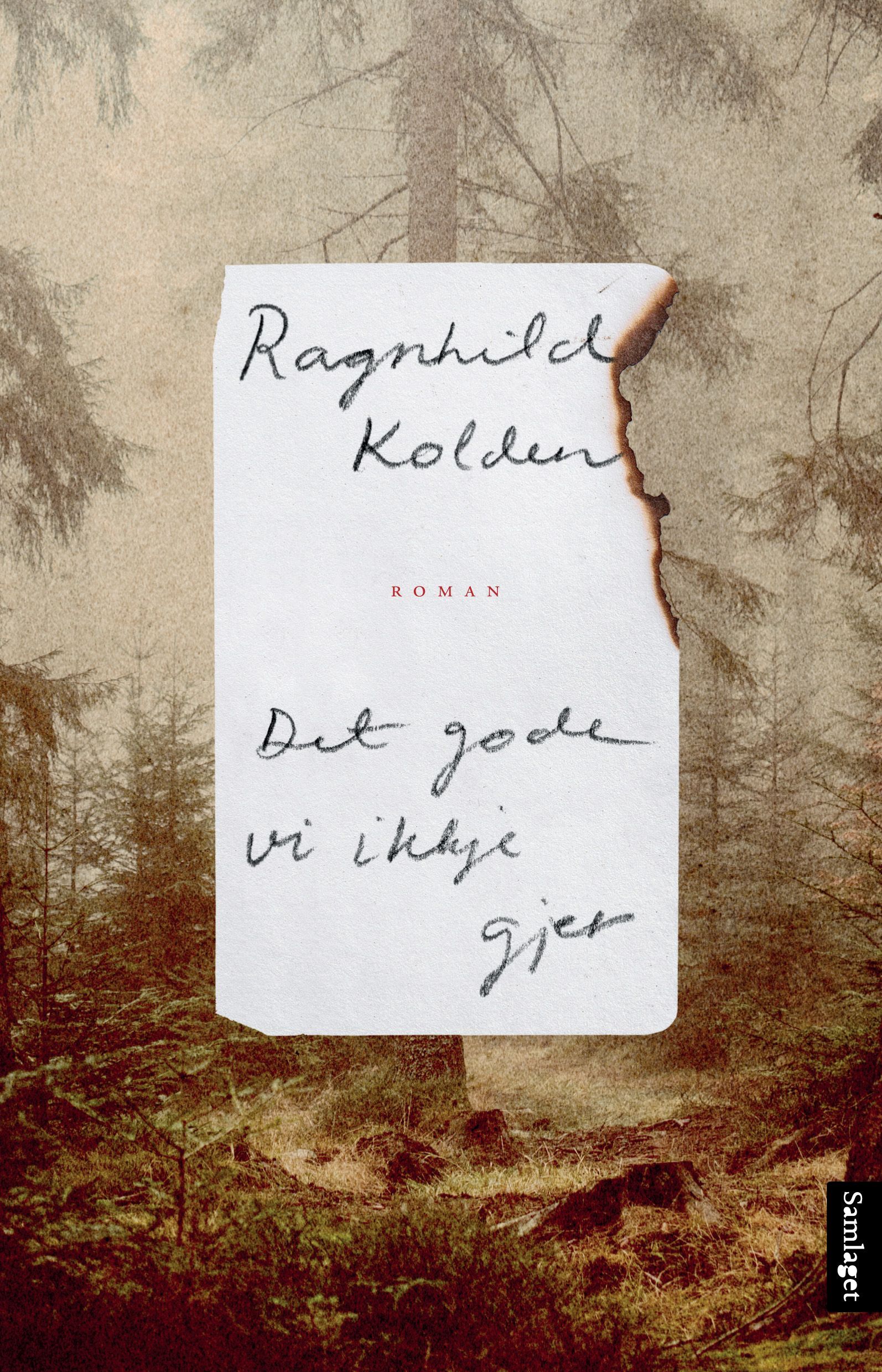 Det gode vi ikkje gjer : roman