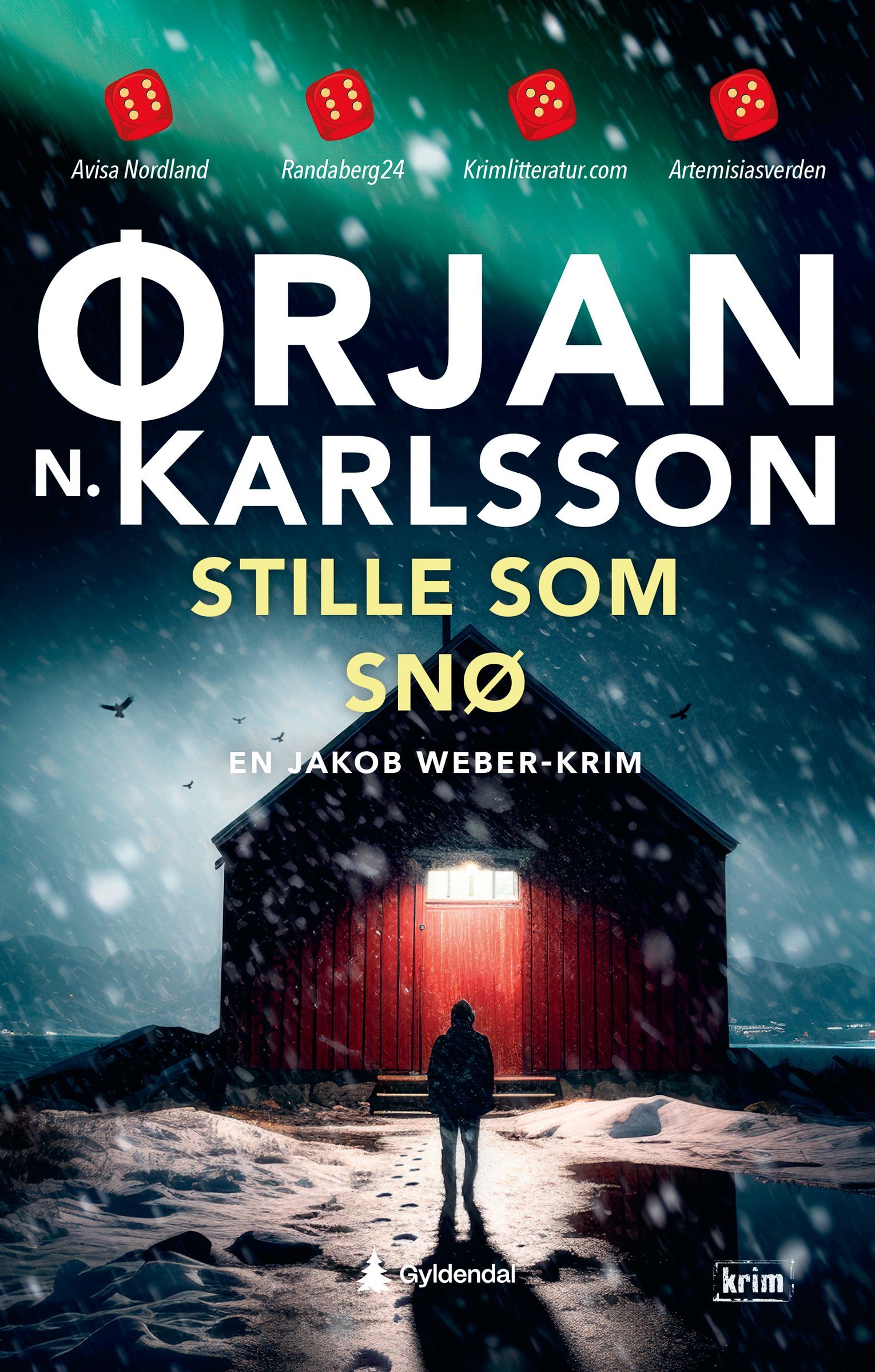 Stille som snø : kriminalroman