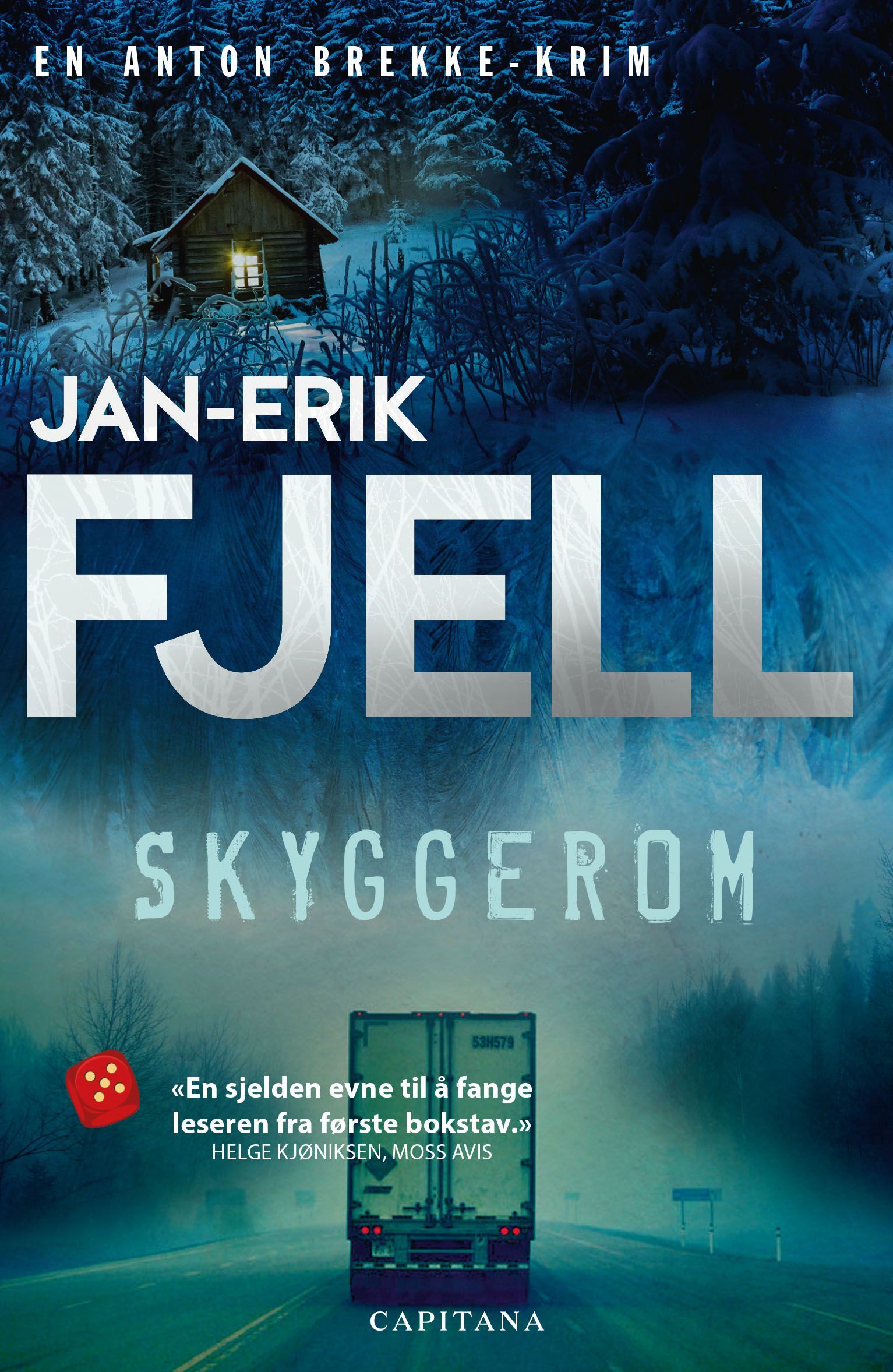 Skyggerom : krim