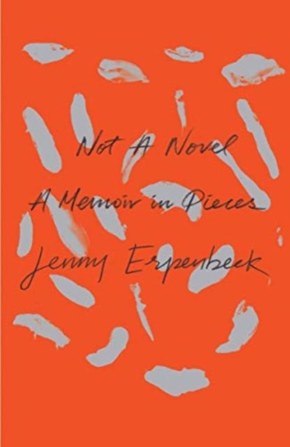Not a novel : a memoir in pieces
