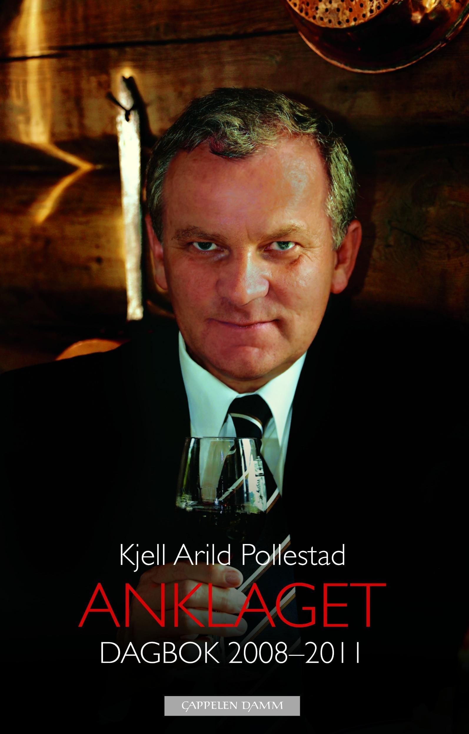 Anklaget : dagbok 2008-2011