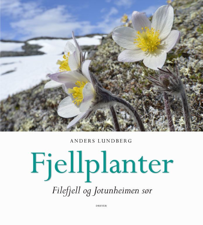 Fjellplanter : Filefjell og Jotunheimen sør