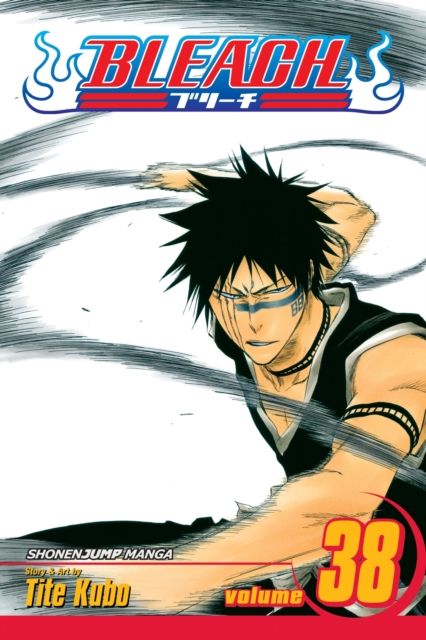 Bleach. vol. 38. Fear for fight
