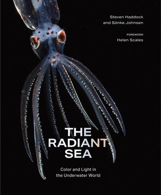 The Radiant Sea : Color and Light In the Underwater World