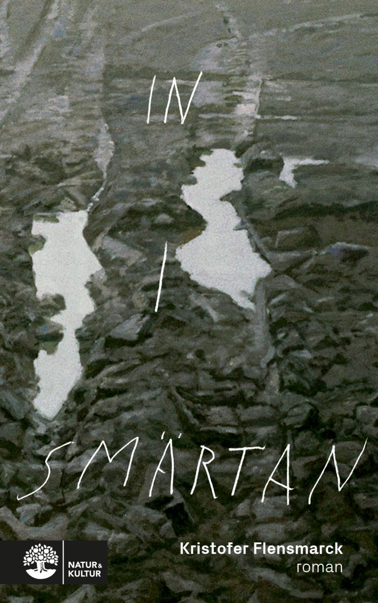 In i smärtan : roman