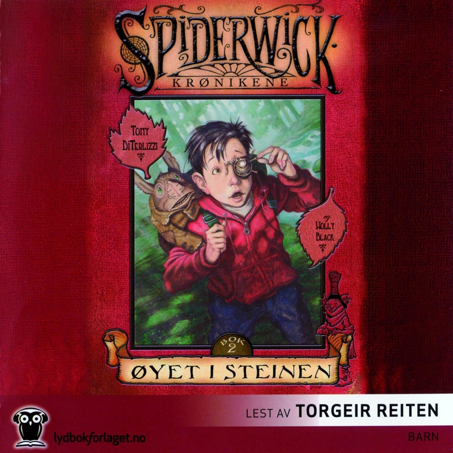 Øyet i steinen