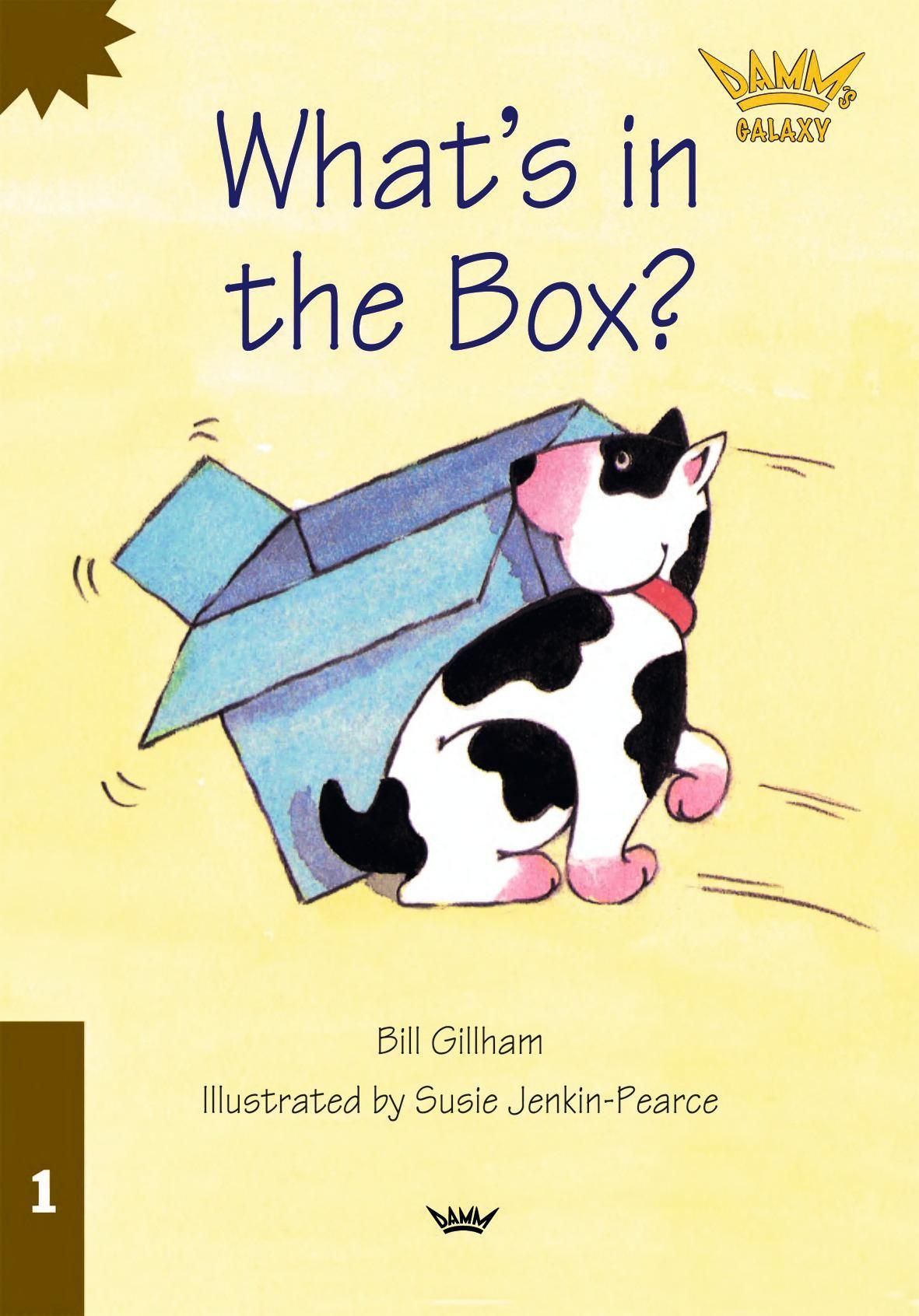 Forsidebilde av What's in the box?