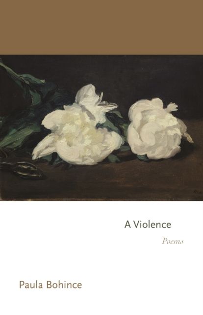 A Violence : Poems