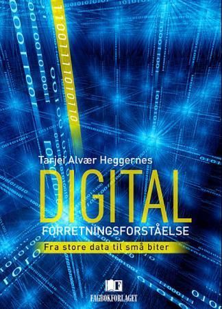 Digital forretningsforståelse : fra store data til små biter