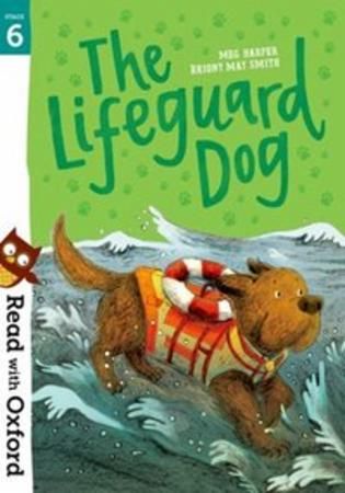 The lifeguard dog