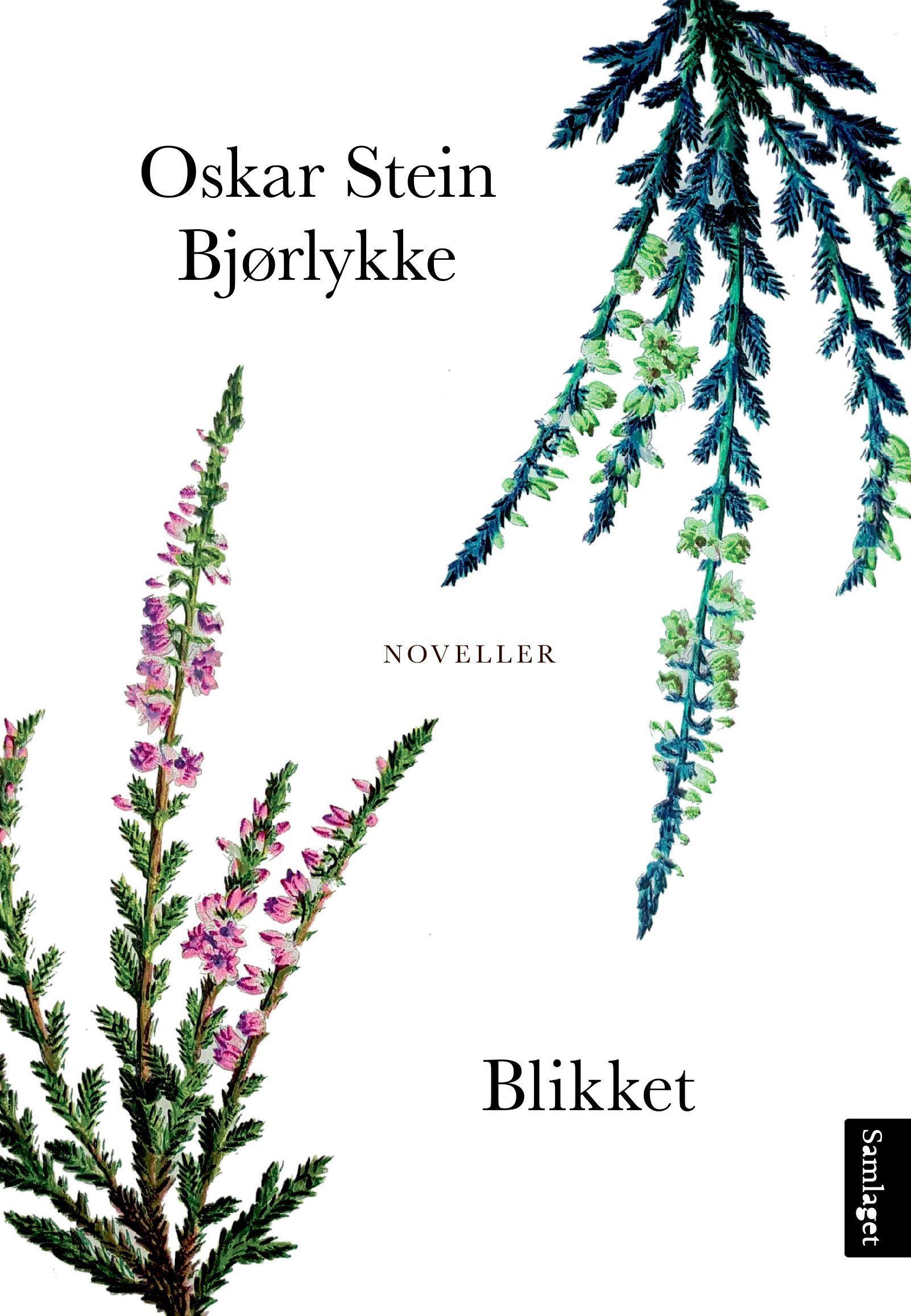 Blikket : noveller