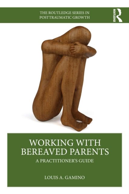Working with Bereaved Parents : A Practitioner's Guide