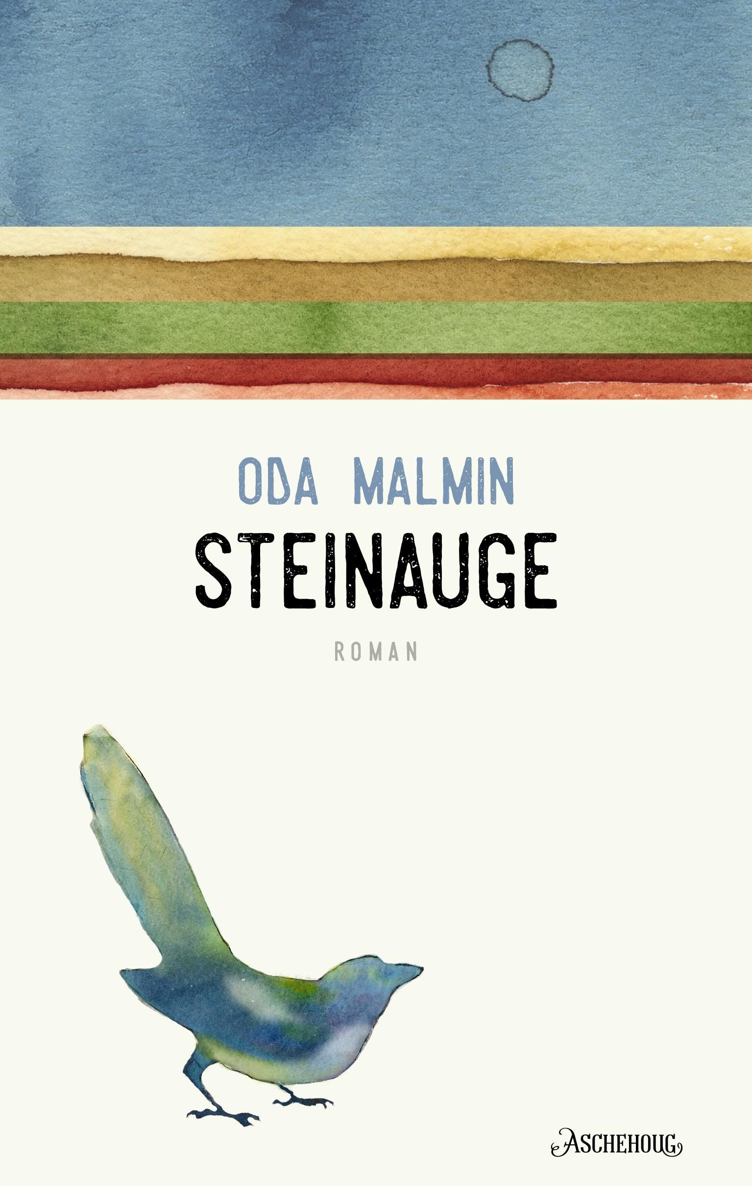 Steinauge : roman