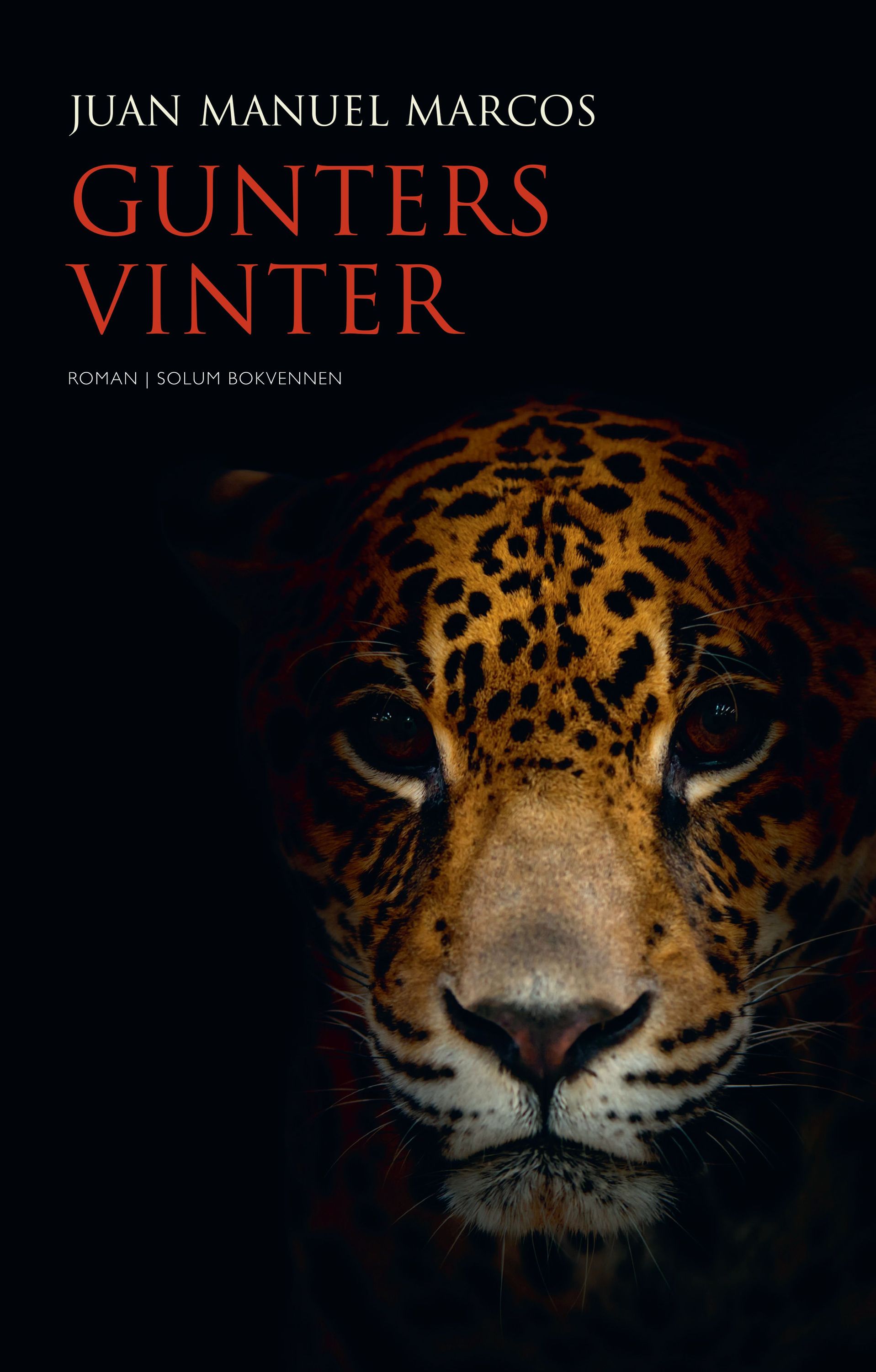 Gunters vinter : roman
