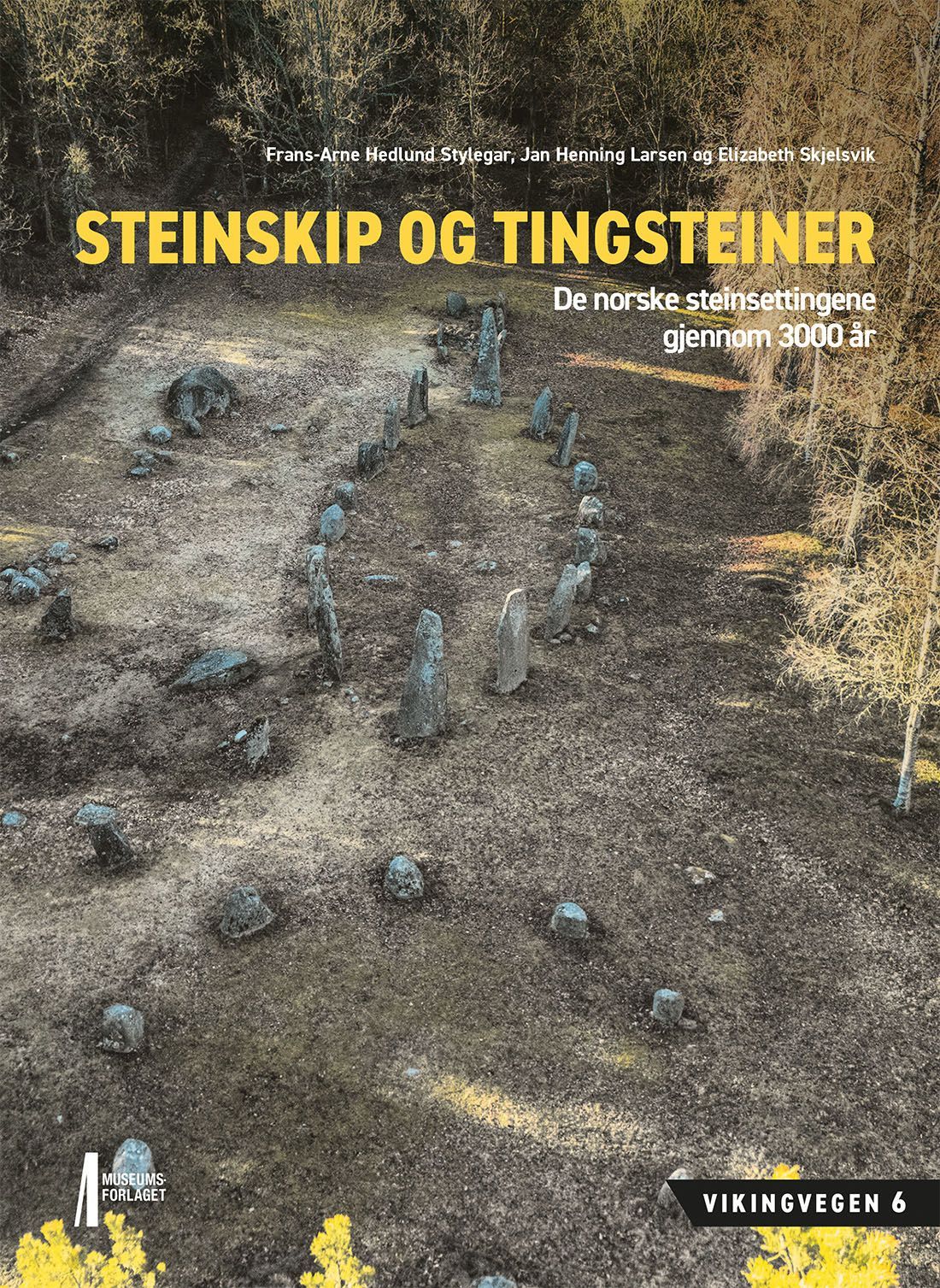 Forsidebilde av Steinskip og tingsteiner : de norske steinsettingene gjennom 3000 år
