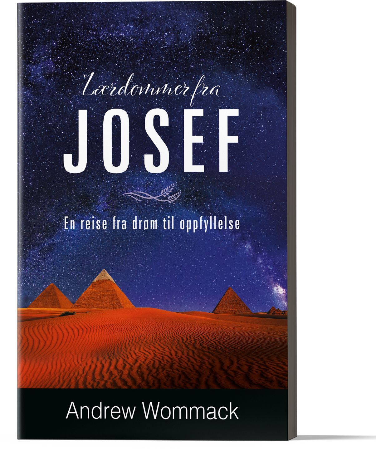 Lærdommer fra Josef : en reise fra drøm til oppfyllelse