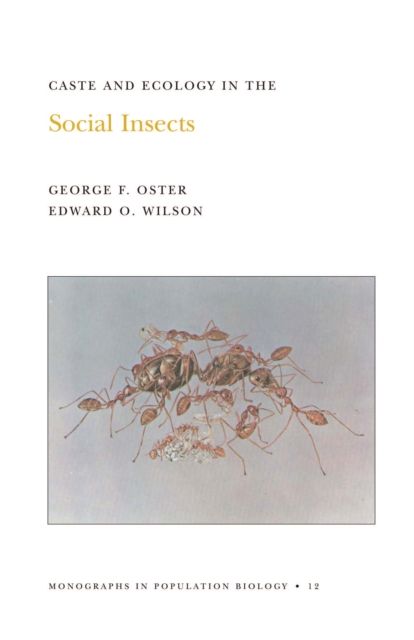 Forsidebilde av Caste and Ecology in the Social Insects