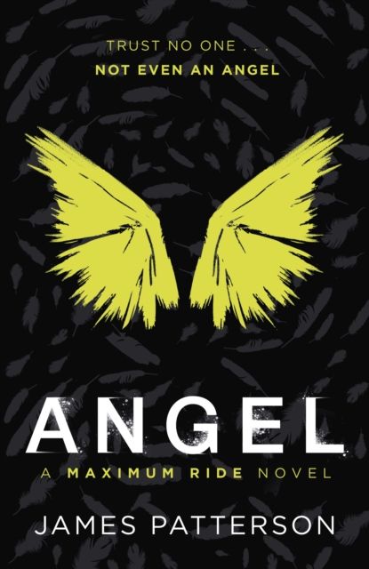 Angel: A Maximum Ride Novel : (Maximum Ride 7)