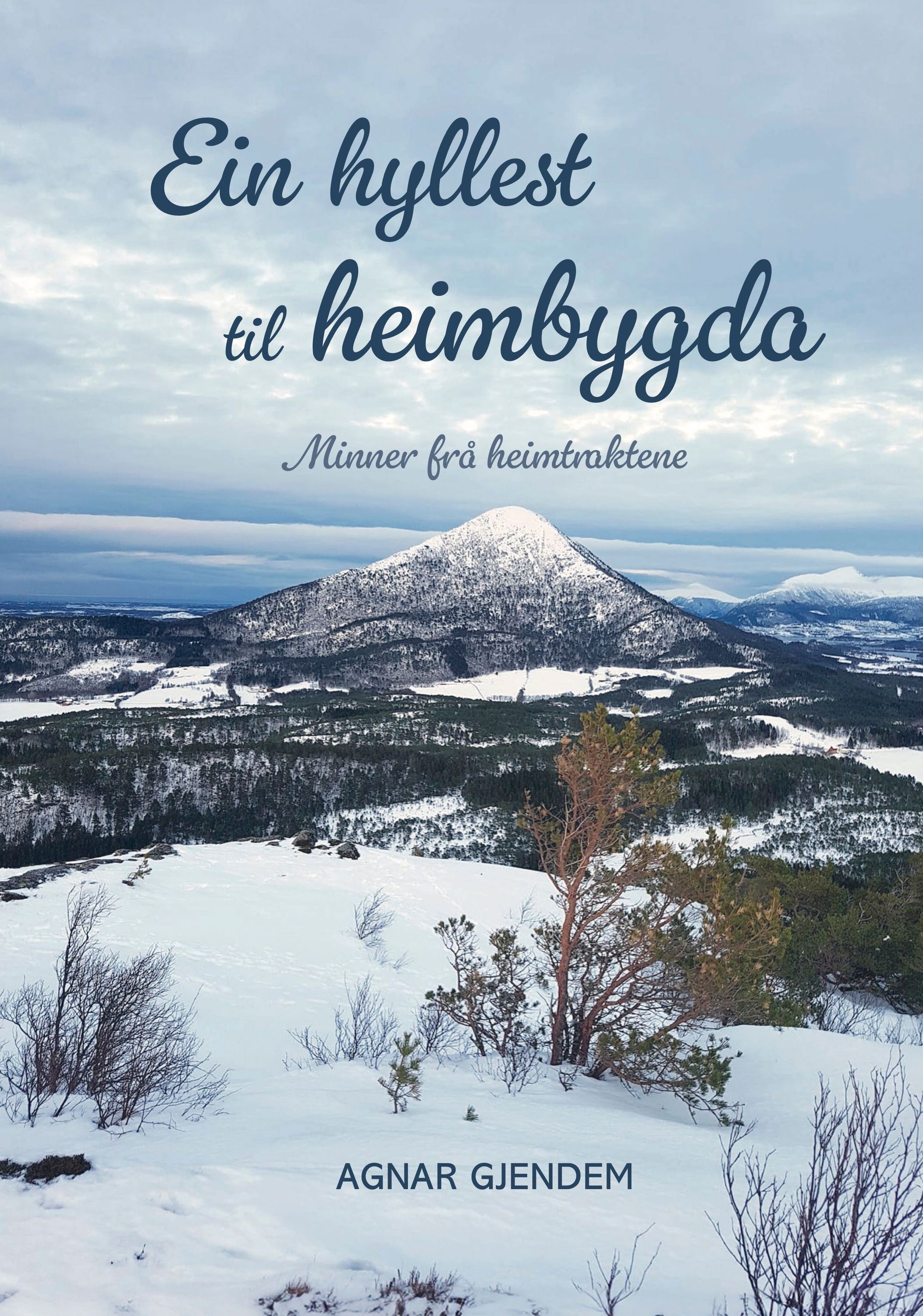 Ein hyllest til heimbygda