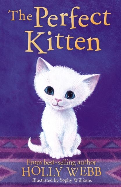 The perfect kitten