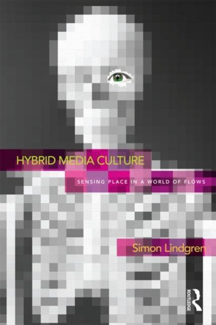 Hybrid Media Culture : Sensing Place in a World of Flows