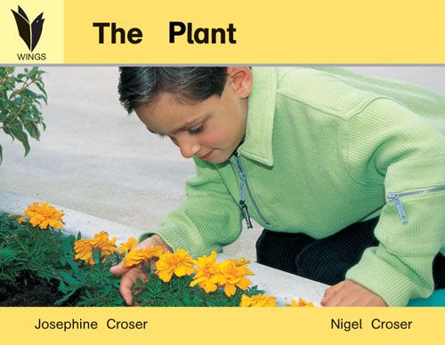 The plant