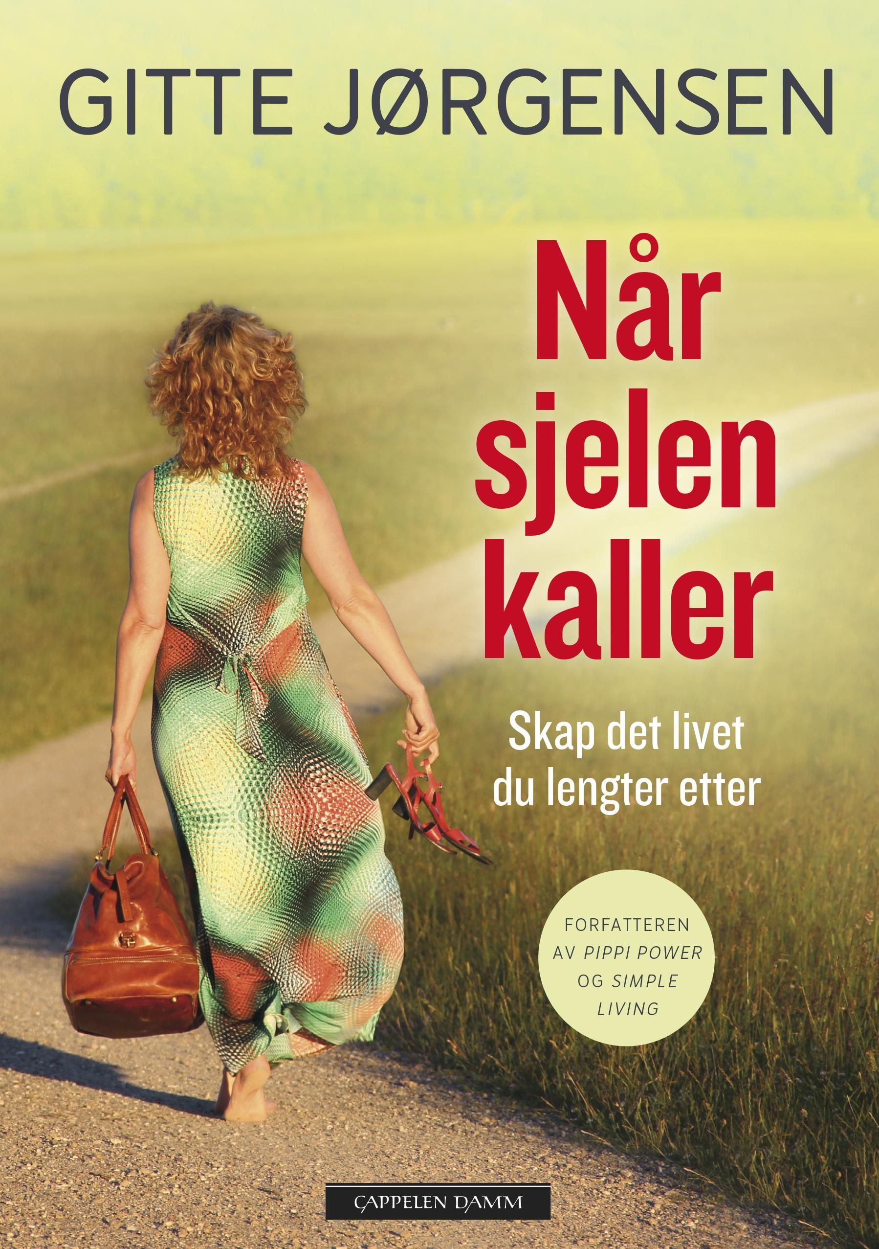 Når sjelen kaller : skap det livet du lengter etter