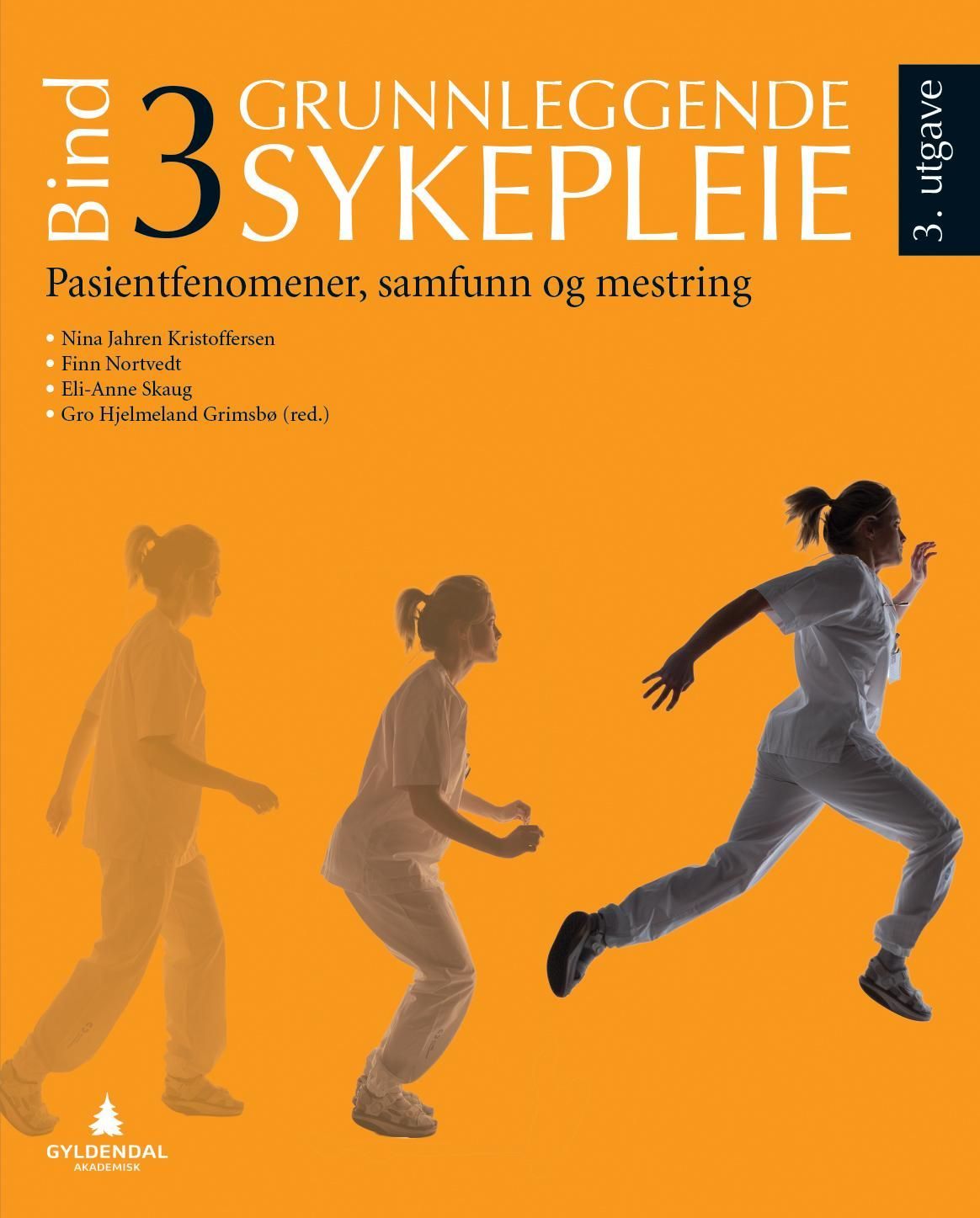 Grunnleggende sykepleie. 3. Pasientfenomener, samfunn og mestring