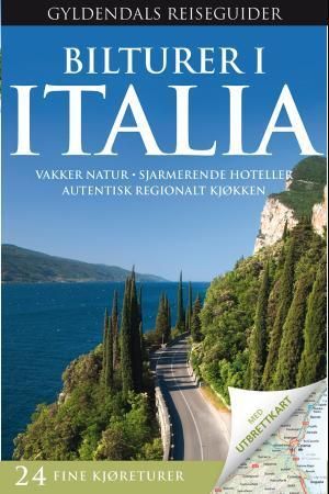 Bilturer i Italia