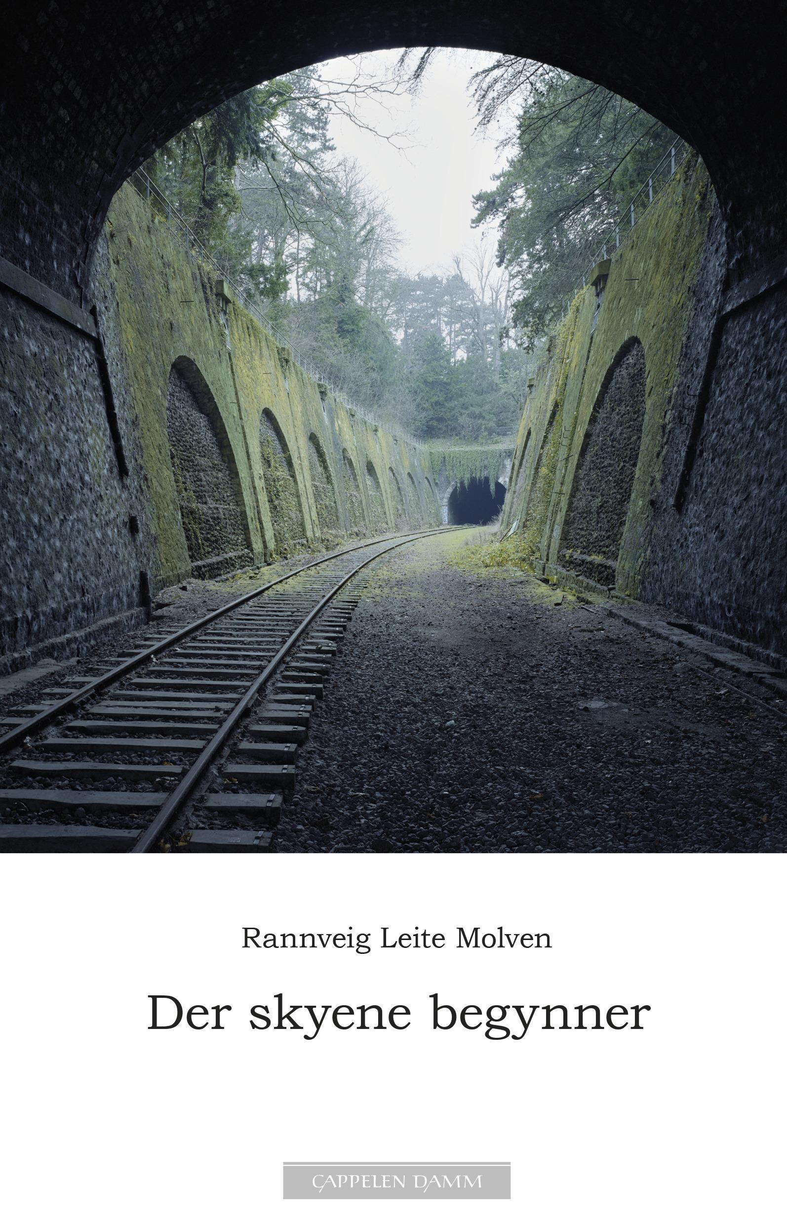 Der skyene begynner : roman