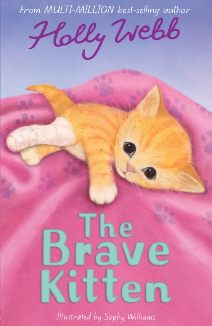 The brave kitten