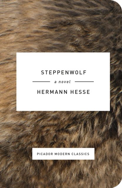 Steppenwolf : A Novel