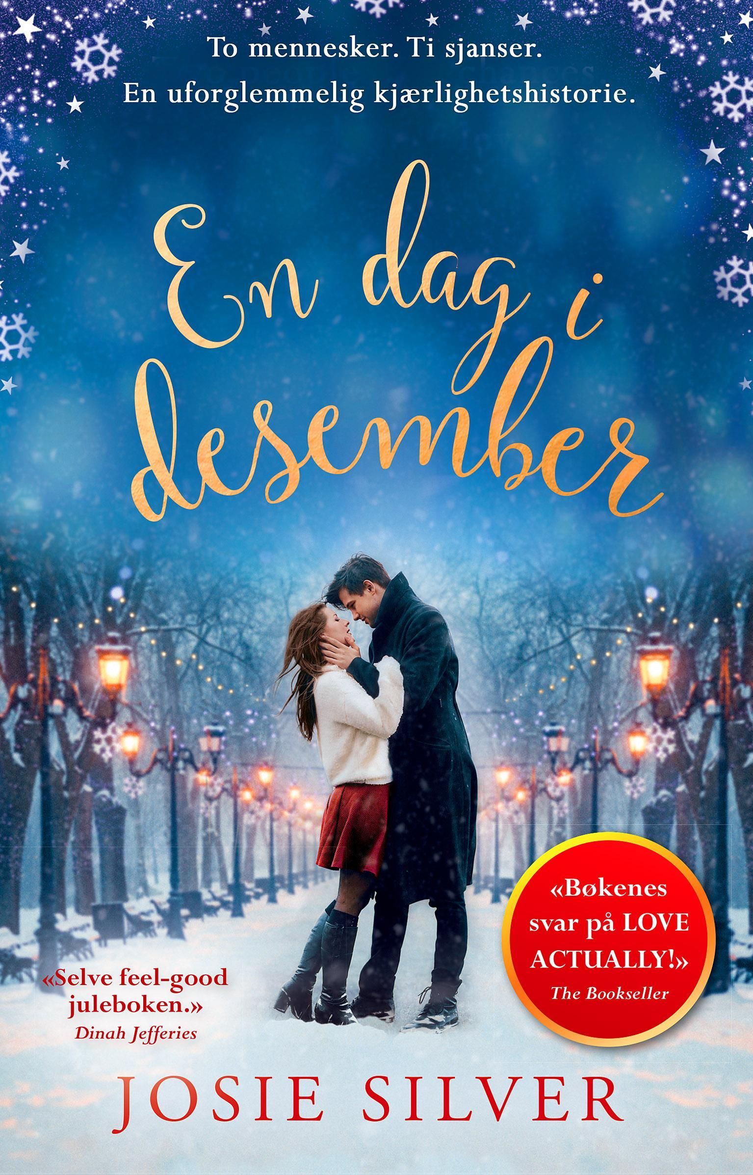 En dag i desember : en julehistorie om kjærlighet