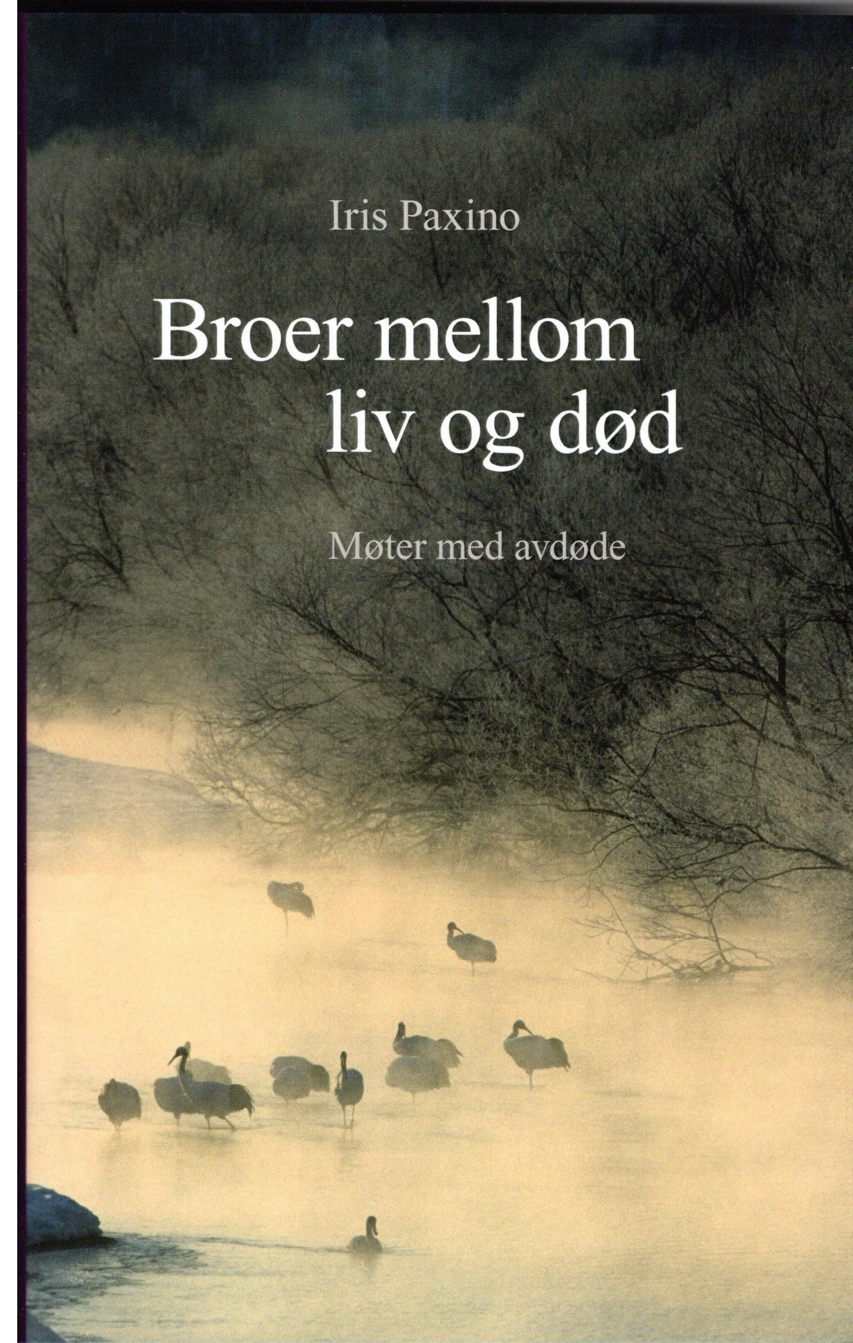 Broer mellom liv og død : møter med avdøde