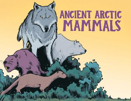 Nunavummi reading series. Level 13