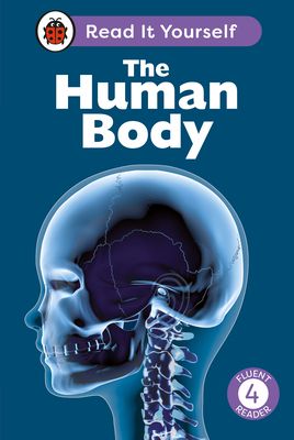 The human body