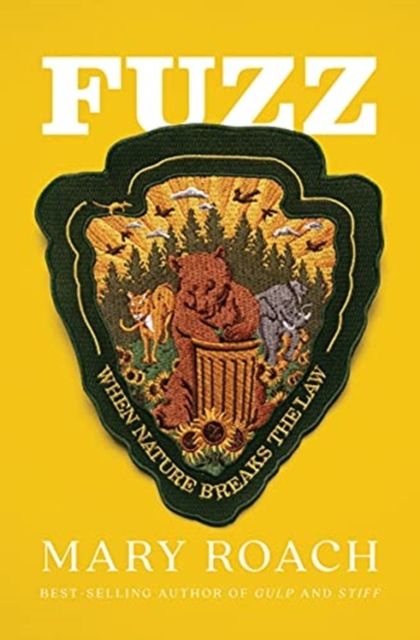 Fuzz : when nature breaks the law