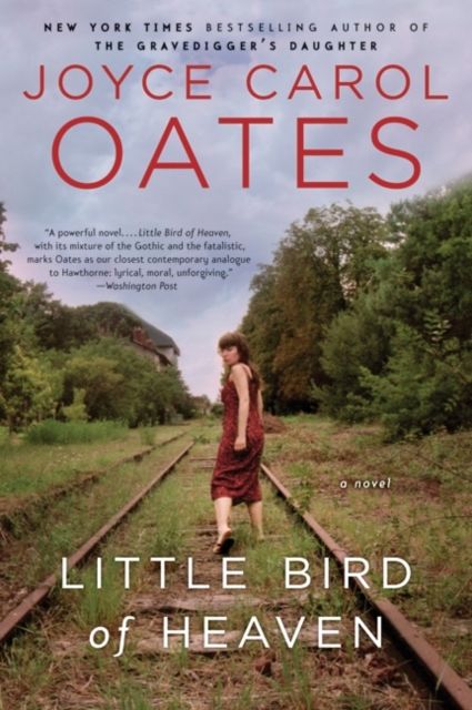 Little Bird Of Heaven : A Novel