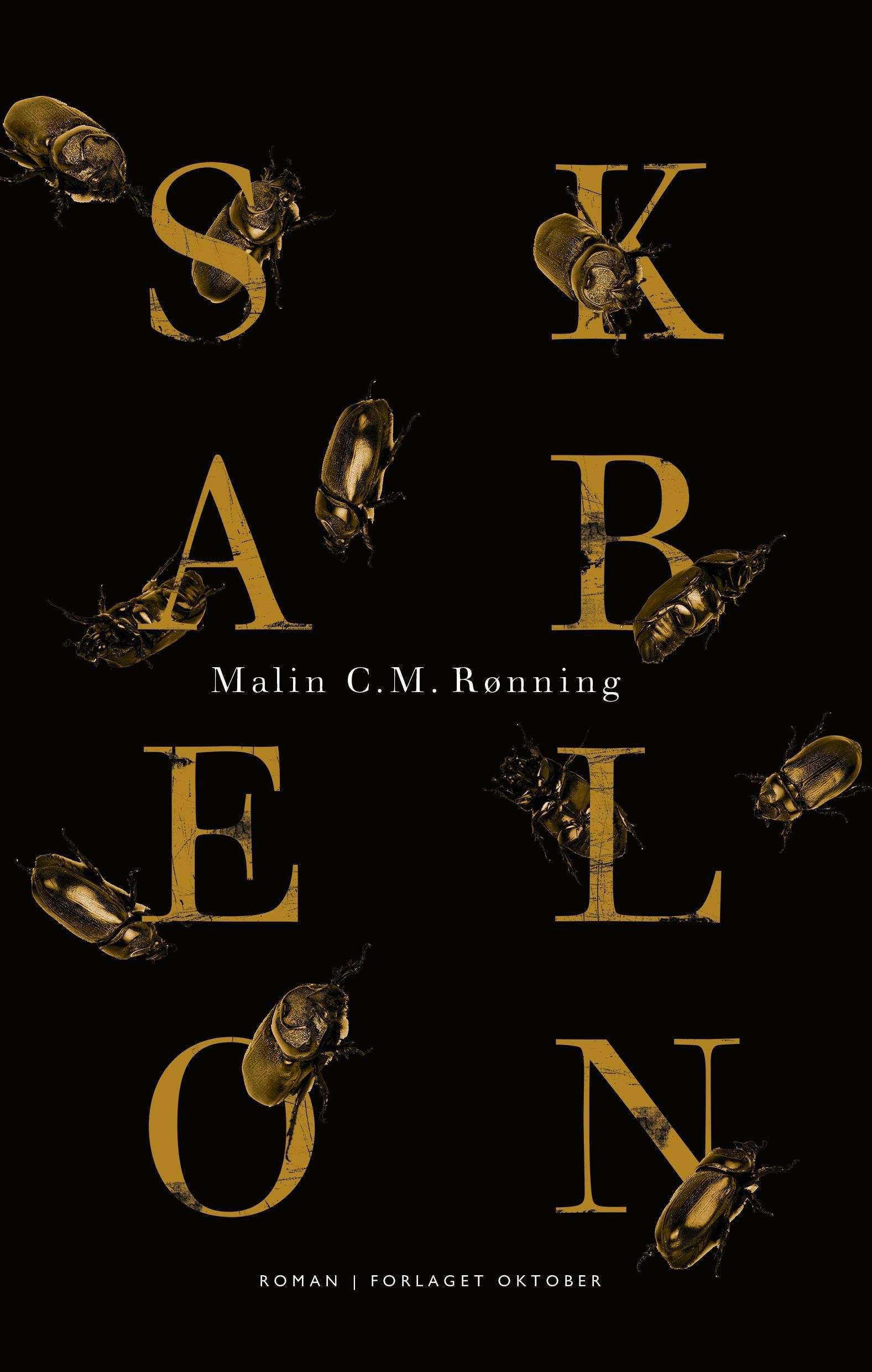 Skabelon : roman