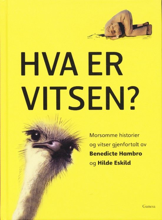 Hva er vitsen? : morsomme historier og vitser : enkle tekster
