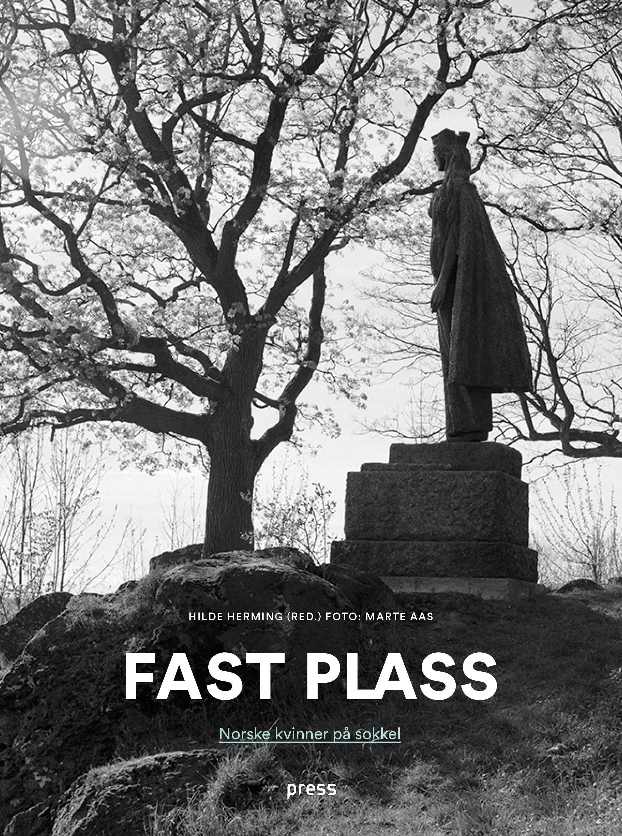 Fast plass : norske kvinner på sokkel