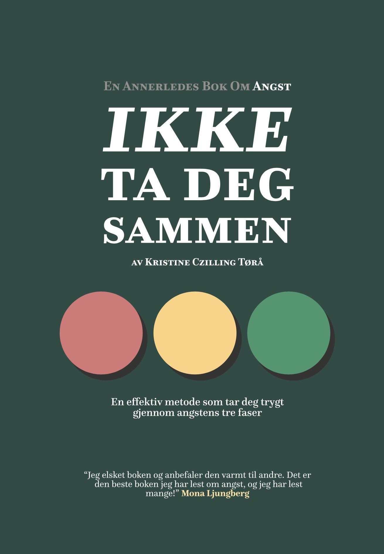 Ikke ta deg sammen : en effektiv metode som tar deg trygt gjennom angstens tre faser